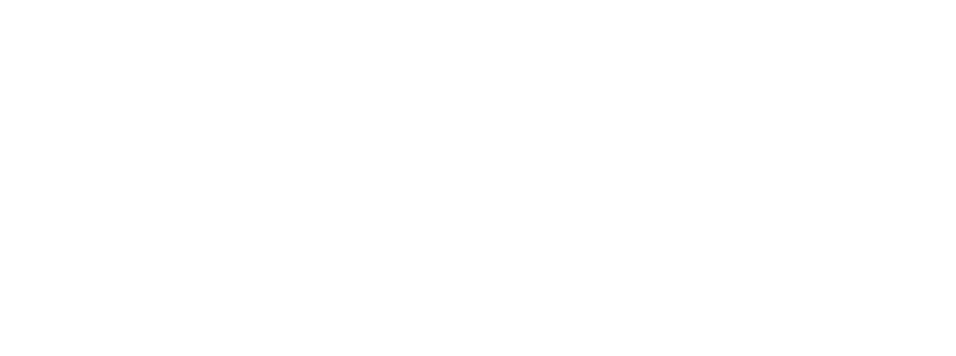 Adam 2025 logo outlined [used] white trans